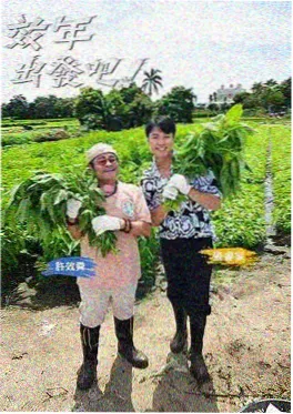 厨房突围 综艺海报
